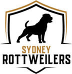 Sydney Rottweilers